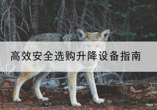 麦积升降货梯厂家推荐-*安全选购升降设备指南