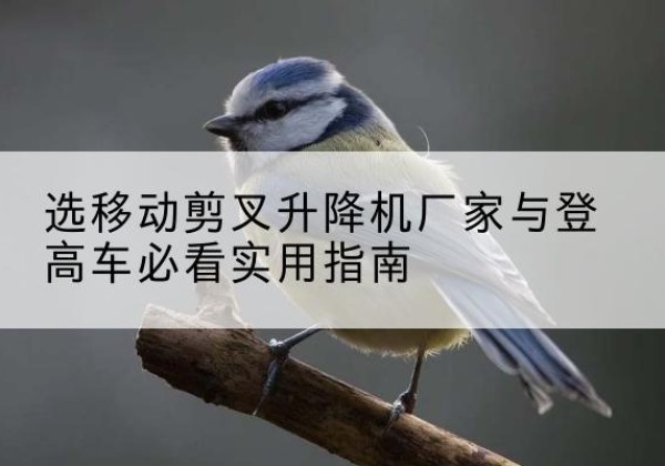 麦积电动升降机厂家-选移动剪叉升降机厂家与登高车必看实用指南
