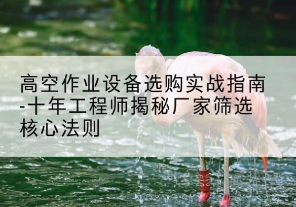 麦积剪叉式升降机厂家-高空作业设备选购实战指南-十年工程师揭秘厂家筛选核心法则