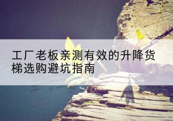 麦积升降货梯怎么选-工厂老板亲测有效的升降货梯选购避坑指南